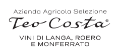 MatchRace_LogoCosta-new